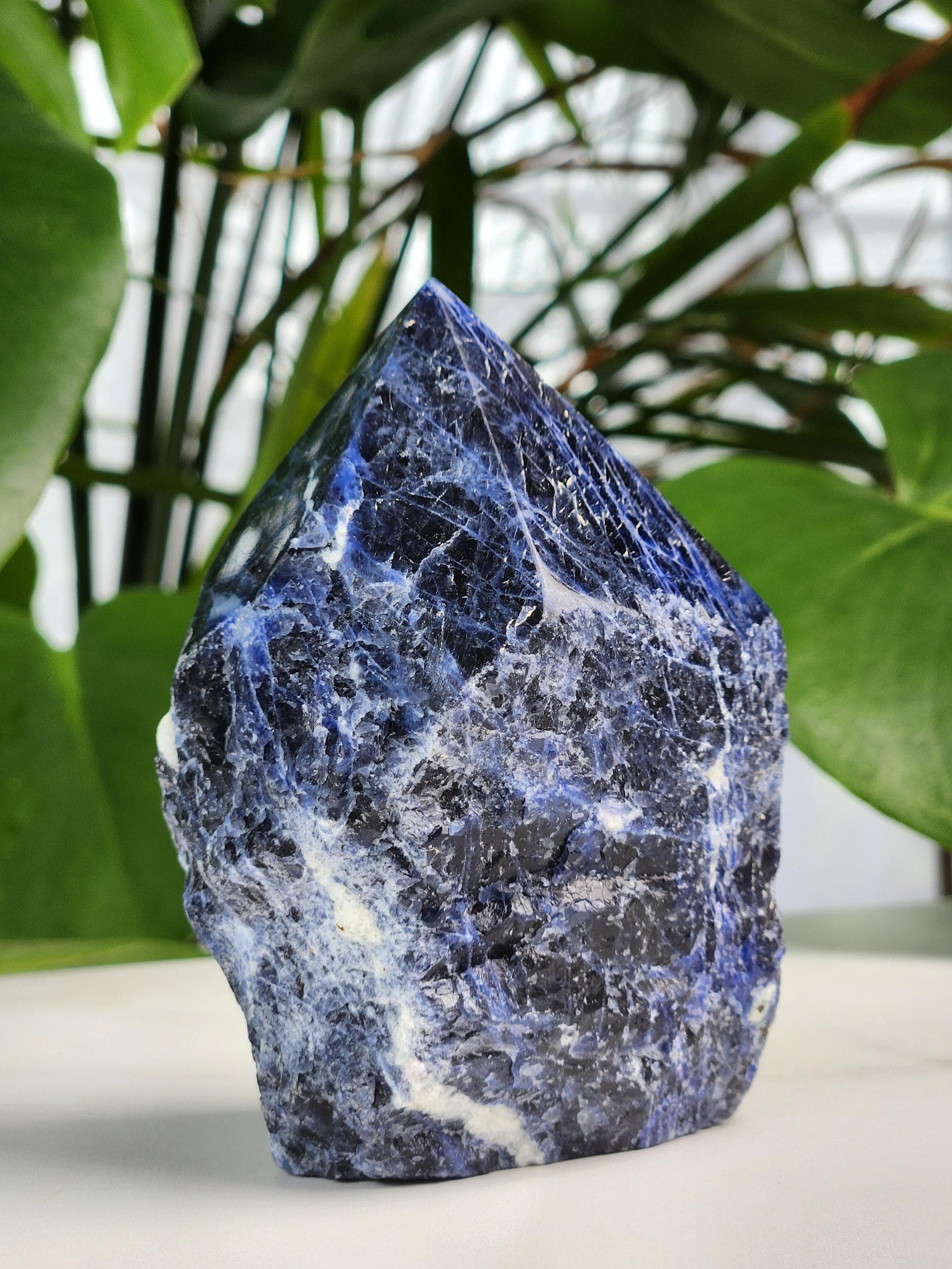 Sodalite Top Polished Point