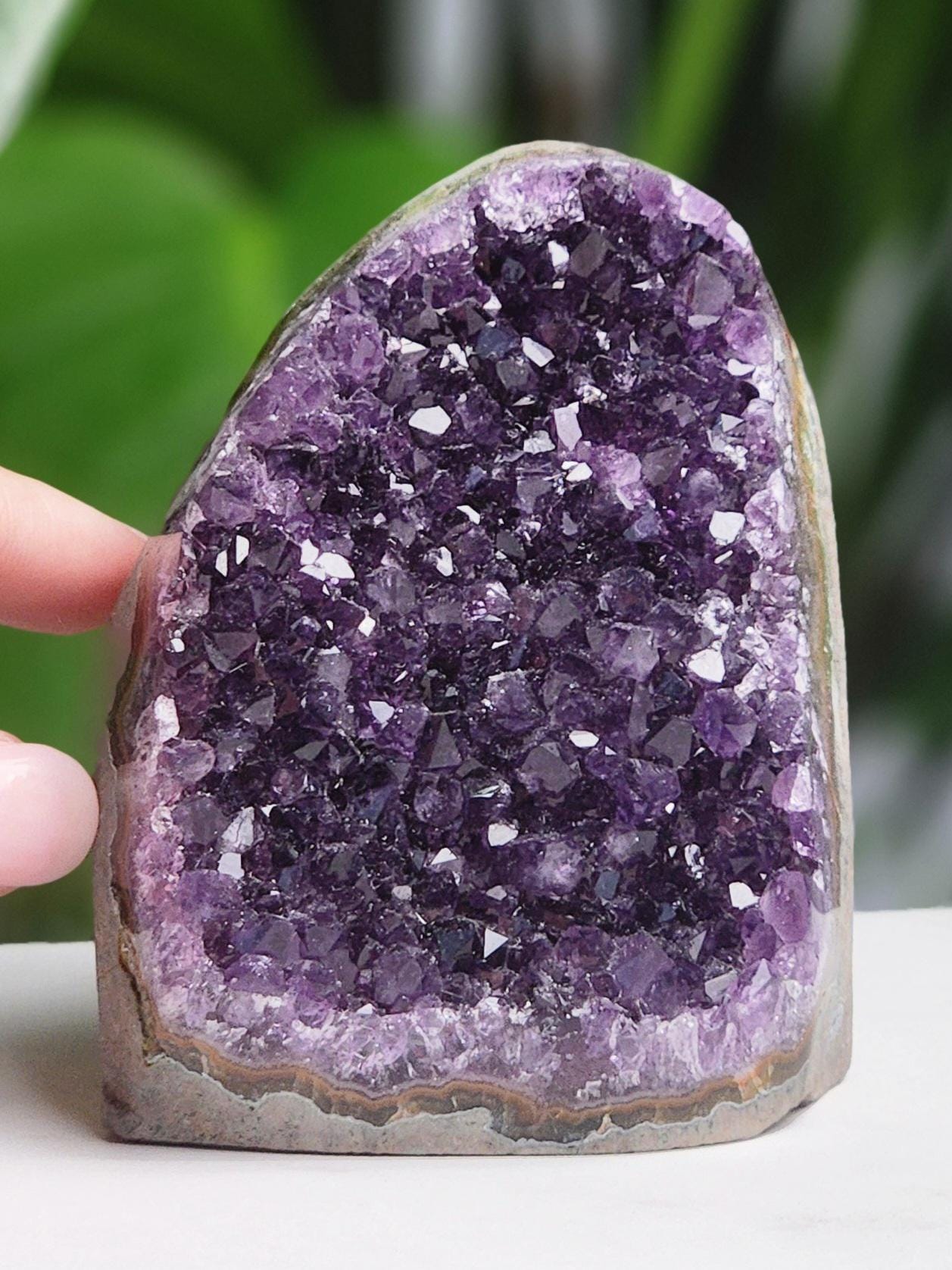 Amethyst Cut Base