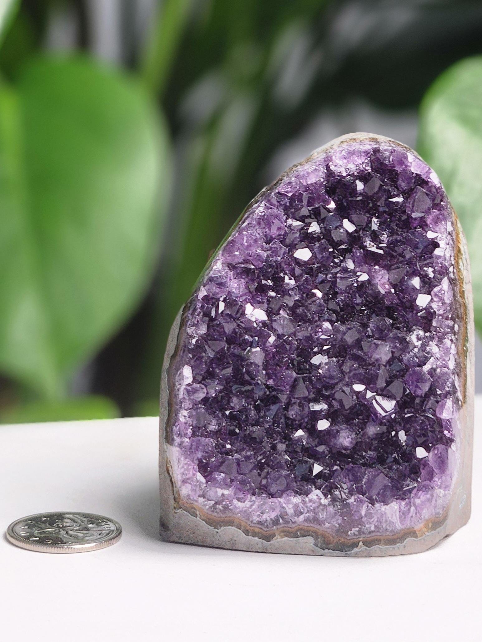 Amethyst Cut Base