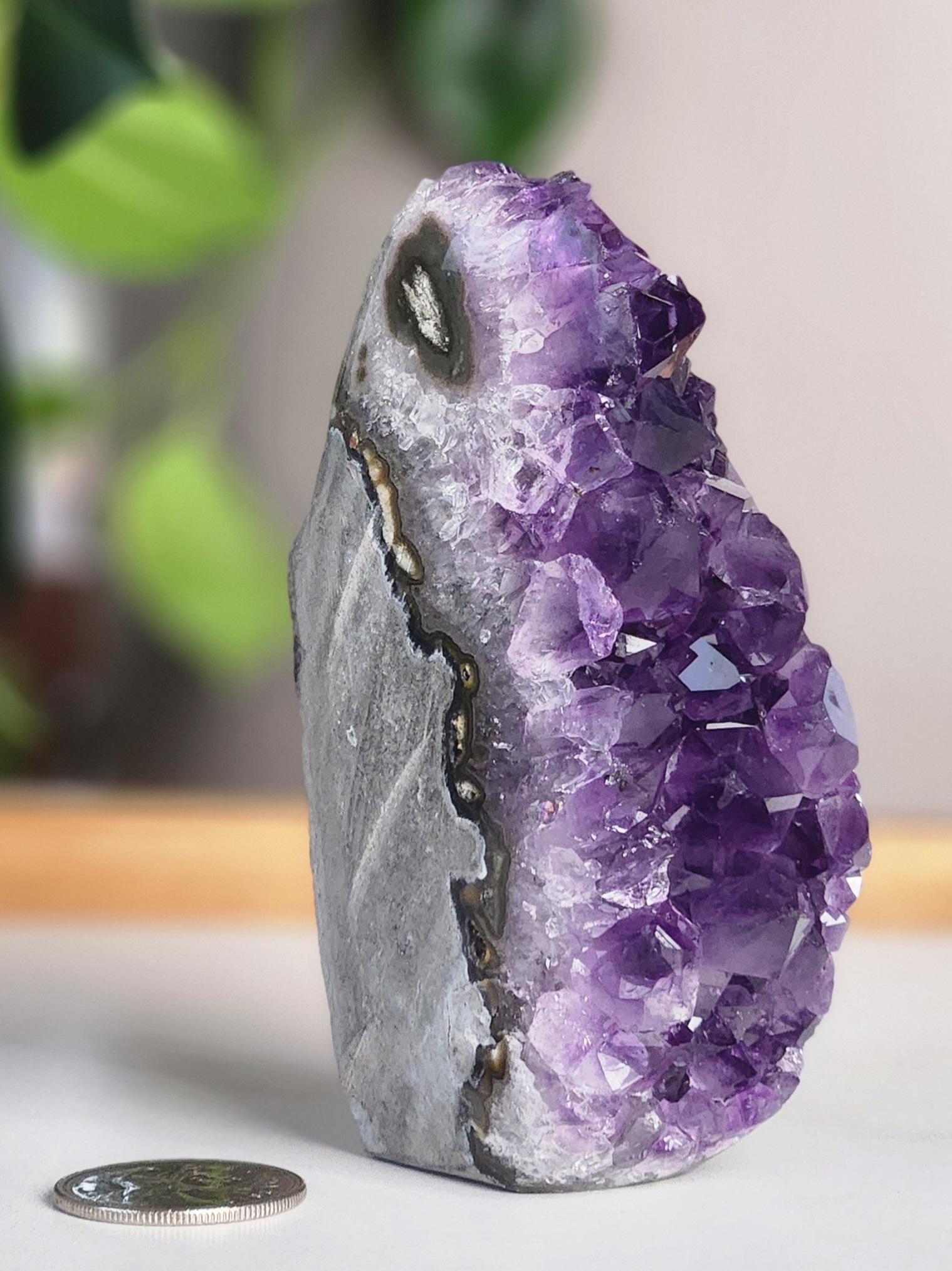 Amethyst Crystal Geode